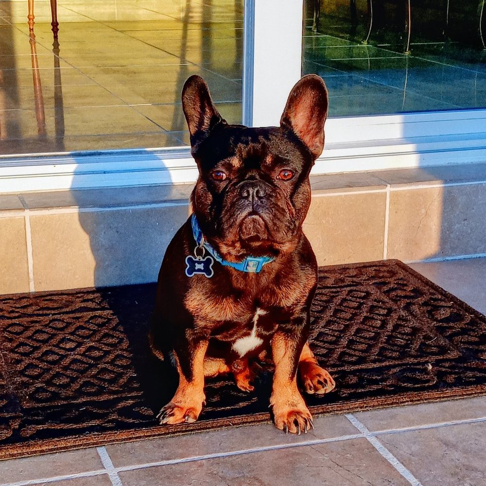Meet your Posher, Max